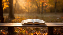 An open bible in a peaceful forest