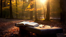 An open bible in a peaceful forest