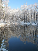 winter pond 