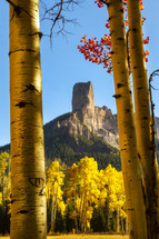 forest and rock peak 