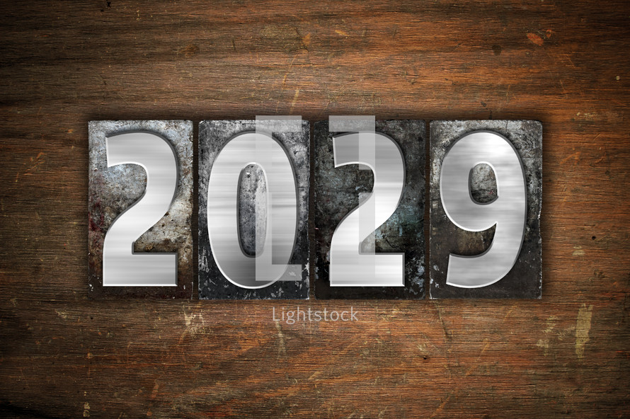 year 2029