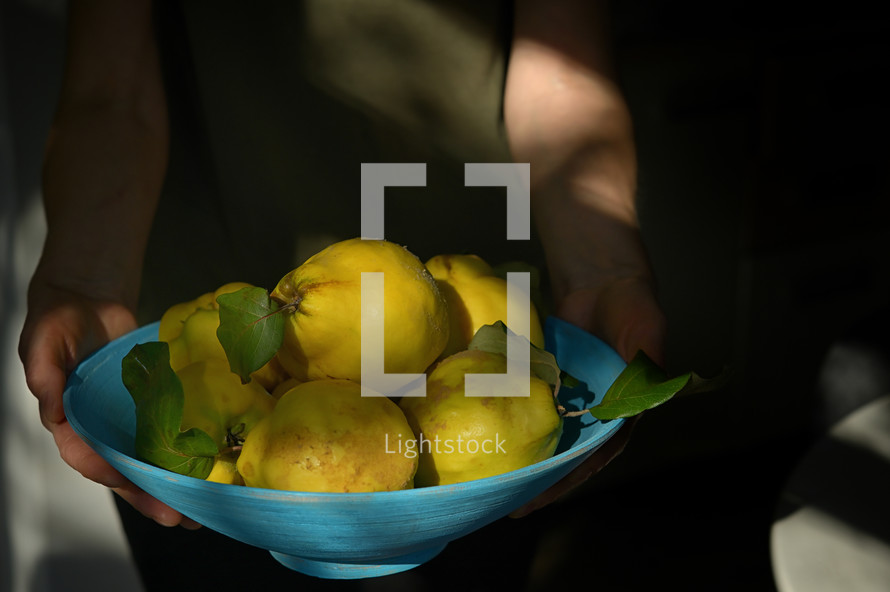 Holding a bowl of yellow pears