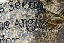 Latin carved in stone