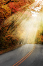 rays of sunlight shining on a road