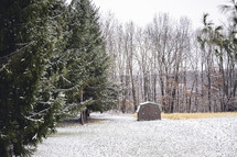 Snow covered field with shed and trees