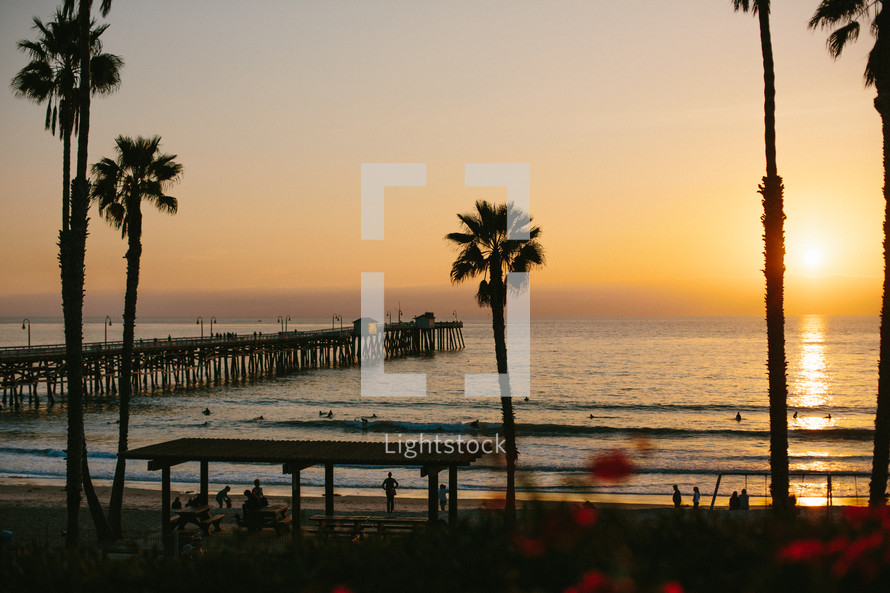 silhouettes of palm trees and a pier at sunset 