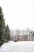 Snow covered field with a shed and trees