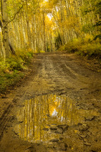 puddle on a country dirt road in fall 