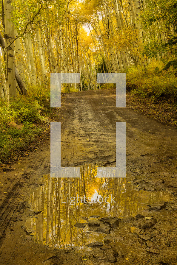 puddle on a country dirt road in fall 