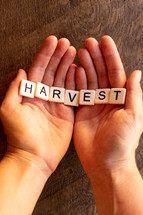 cupped hands with the word harvest 