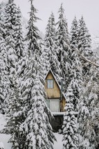 A cabin in the snow. 