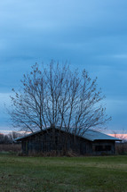 Wooden farm structure with winter tree