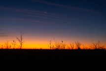 Rural horizon at sunset