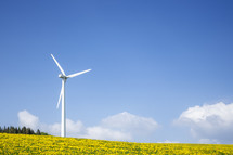 wind turbine in a field of yellow flowers 