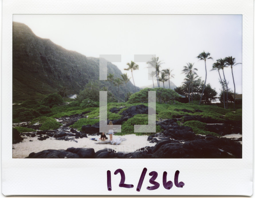 Polaroid of palm trees on a tropical island 