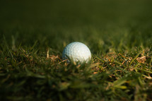 Golf ball on a grass golf course