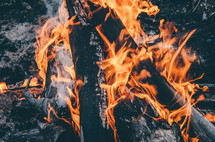 A campfire burning
