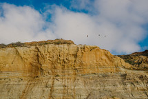 birds soaring over cliffs 