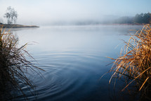 misty pond 
