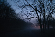 fog in a park at night 