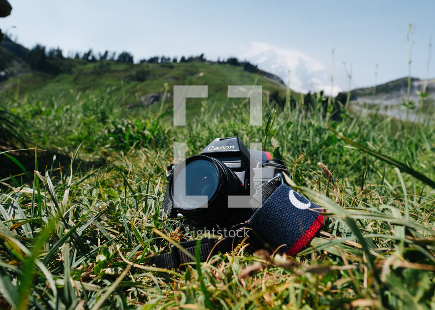 vintage camera in the grass