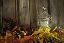 Bird cage in fall foliage by a wooden fence.