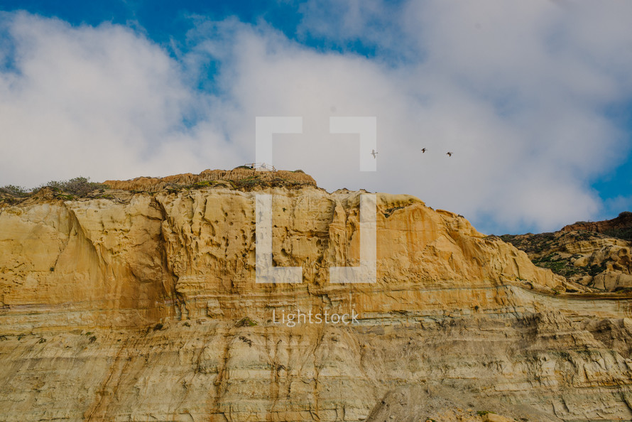 birds soaring over cliffs 