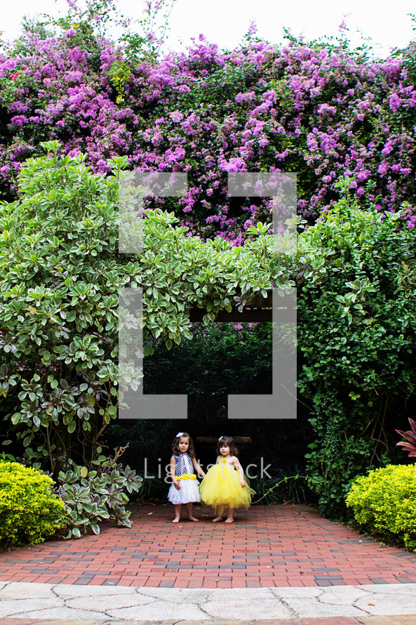 Girls standing on a sidewalk under a canopy of blooming flowers.