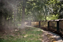 train traveling through a forest 