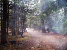 Through the mist and fog in the deep woods, a dirt road appears lead safe passage through the morning mist lined with rocks and dense forest. 