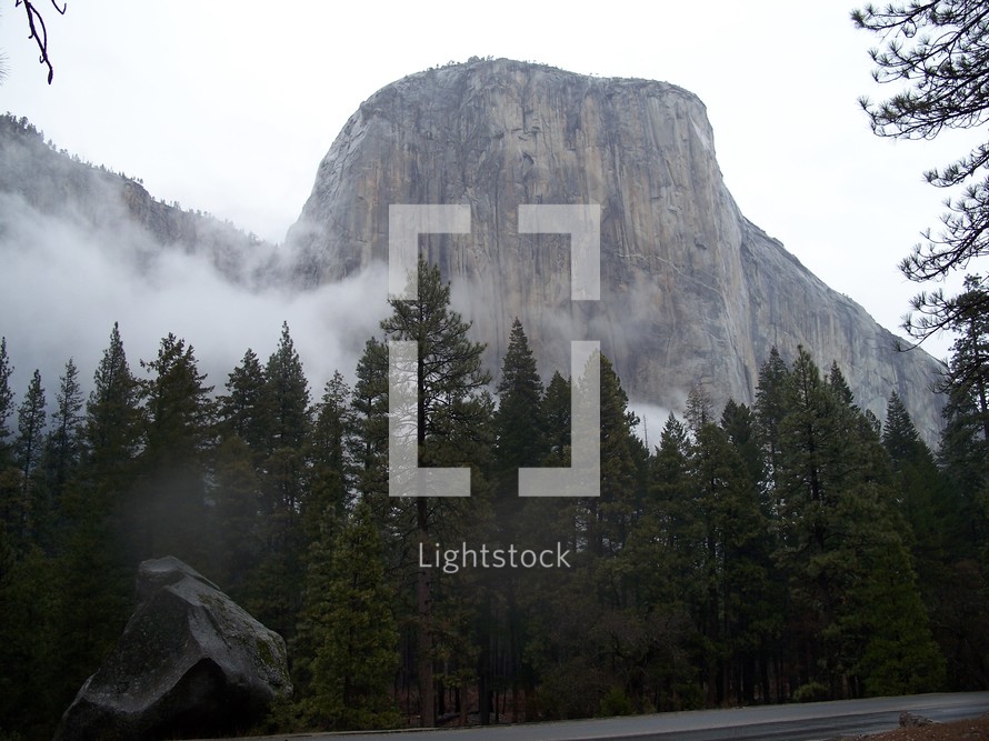 National Monument, Yosemite National Forest, California, forest, fog, trees, wilderness