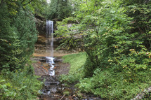 waterfall and stream in a forest 