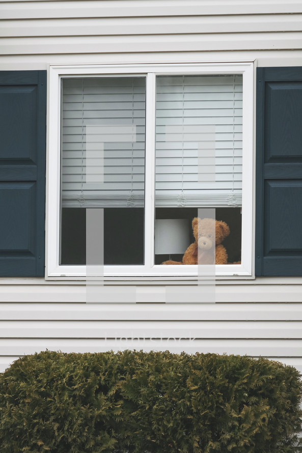 Teddy bear in a window 