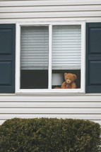 Teddy bear in a window 