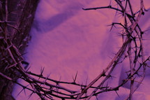 crown of thorns on a purple sheet 
