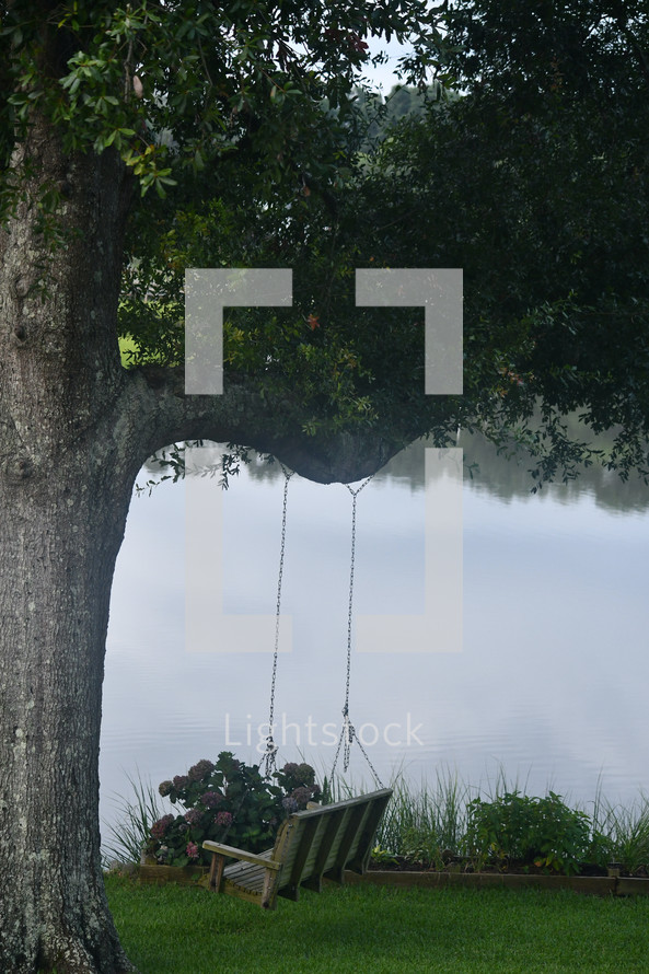 swing hanging from an oak trees overlooking water 