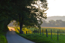 country road in summer 