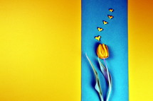 yellow tulip and hearts 