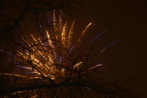 fireworks bursting behind tree branches 