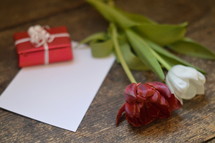A little present with a blank piece of paper and a red and a white tulip.