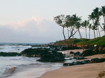 People on a sandy beach with black rocks and palm trees.