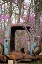 old rusty truck and pink spring flowers 
