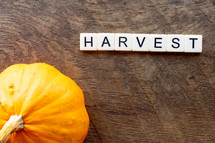 orange pumpkin and word harvest 