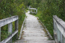 boardwalk path 
