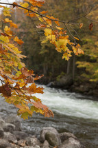fall leaves and flowing river 