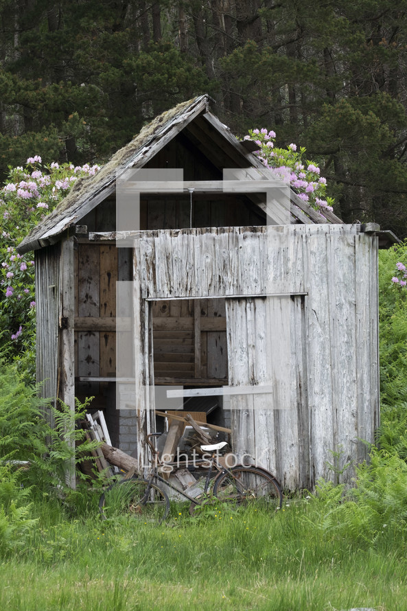 old weathered shed 