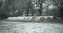 Slow motion winter snow background. Snowflakes, snow flakes falling in slow motion during winter snow storm on hay bales on farmland.