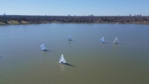Aerial of Sailboats on White Rock Lake in Dallas, TX	