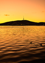Sunset over a silhouette of a mountain with ducks swimming in the lake water.