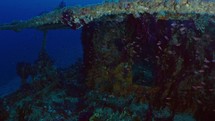 Wreck of the Grec - Port Cros